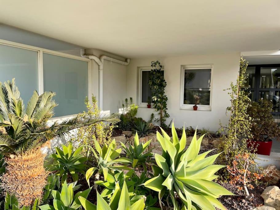 21 - Tres Agreable Rdc Avec Terrasse Et Parking Daire Bandol Dış mekan fotoğraf