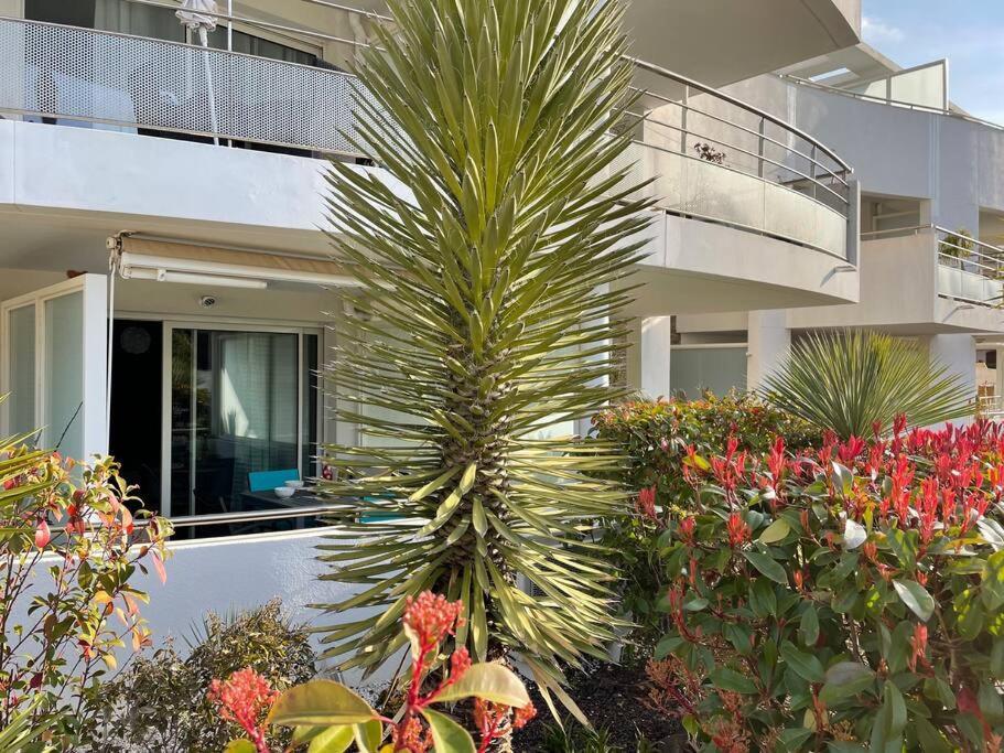 21 - Tres Agreable Rdc Avec Terrasse Et Parking Daire Bandol Dış mekan fotoğraf