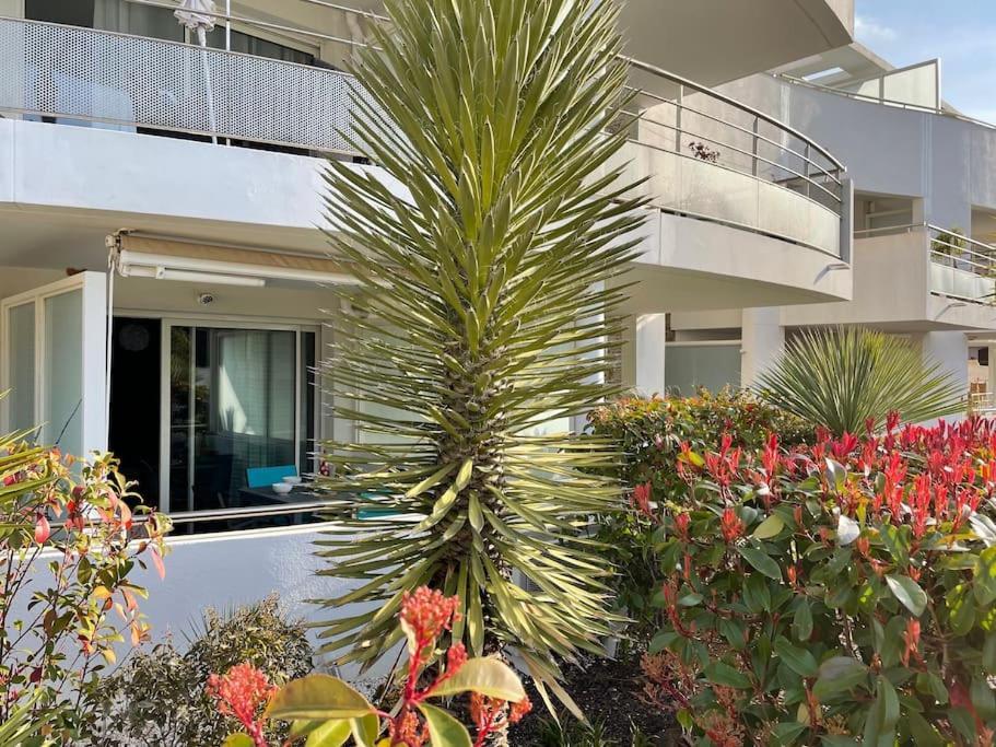 21 - Tres Agreable Rdc Avec Terrasse Et Parking Daire Bandol Dış mekan fotoğraf