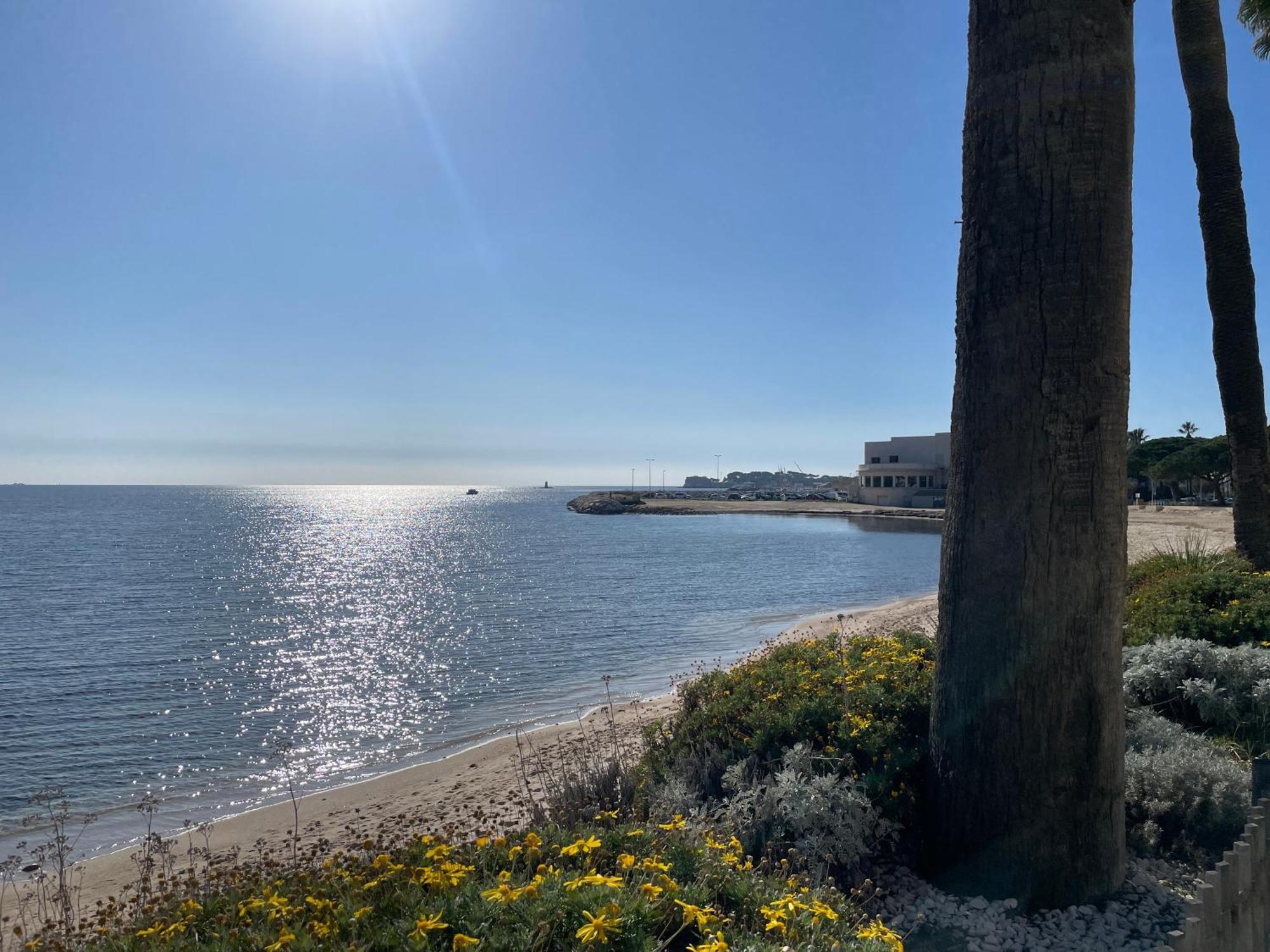 21 - Tres Agreable Rdc Avec Terrasse Et Parking Daire Bandol Dış mekan fotoğraf