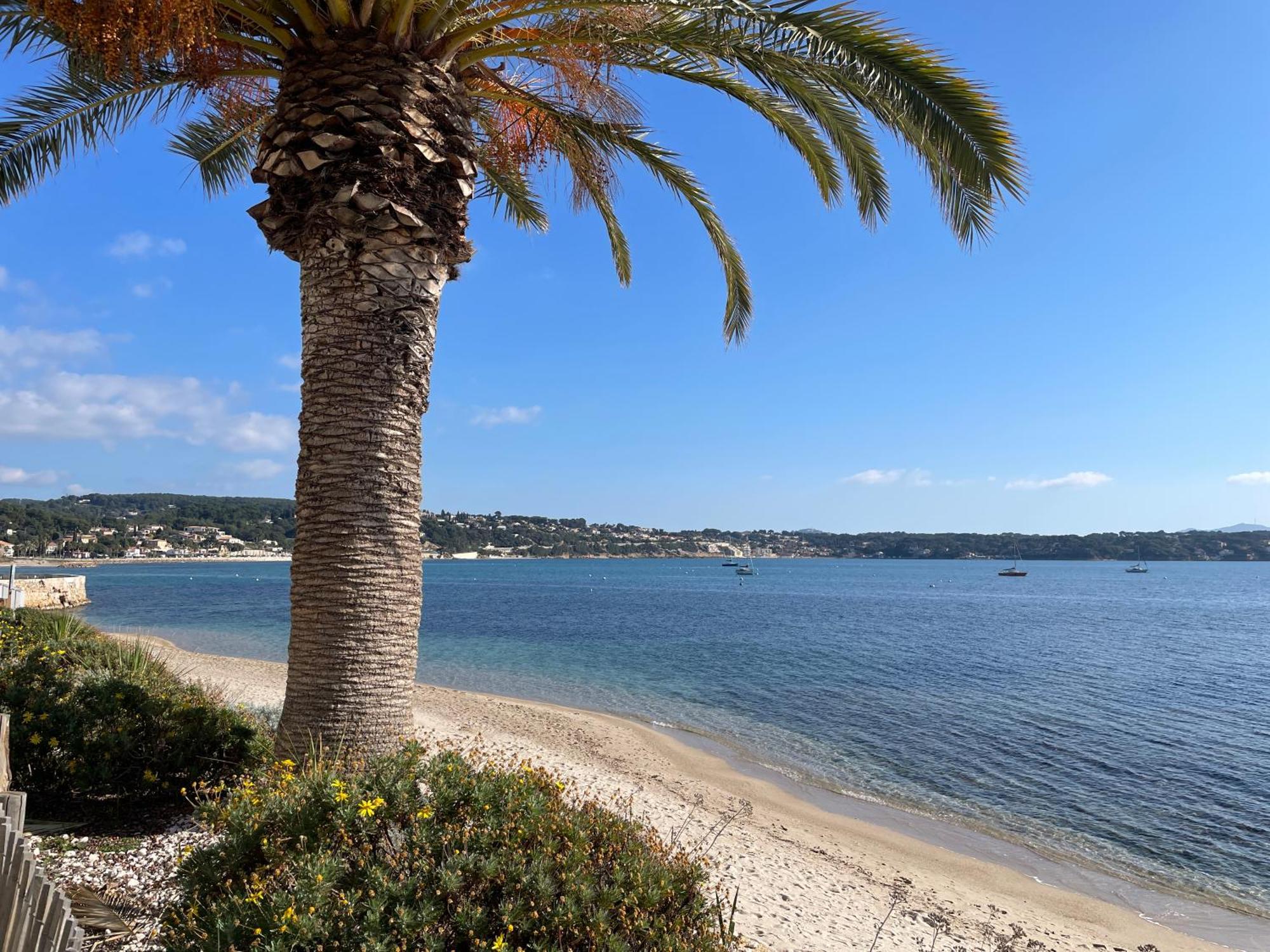 21 - Tres Agreable Rdc Avec Terrasse Et Parking Daire Bandol Dış mekan fotoğraf
